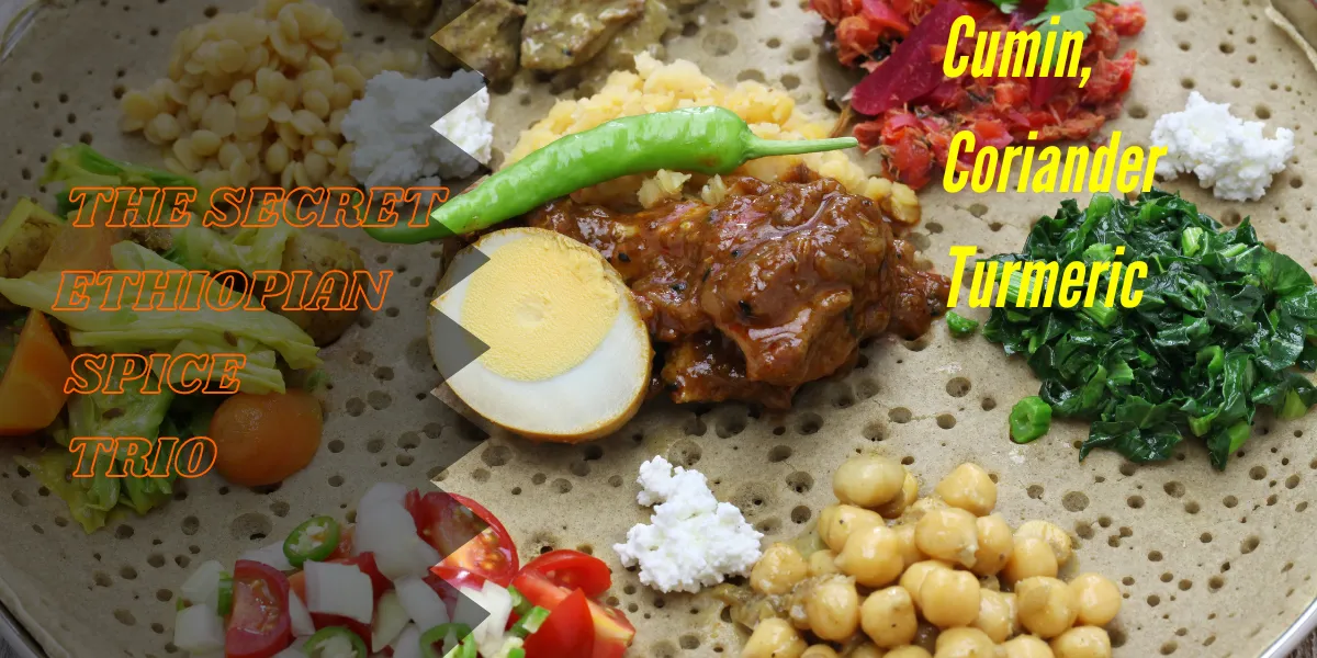 Turmeric in Ethiopian Cuisine