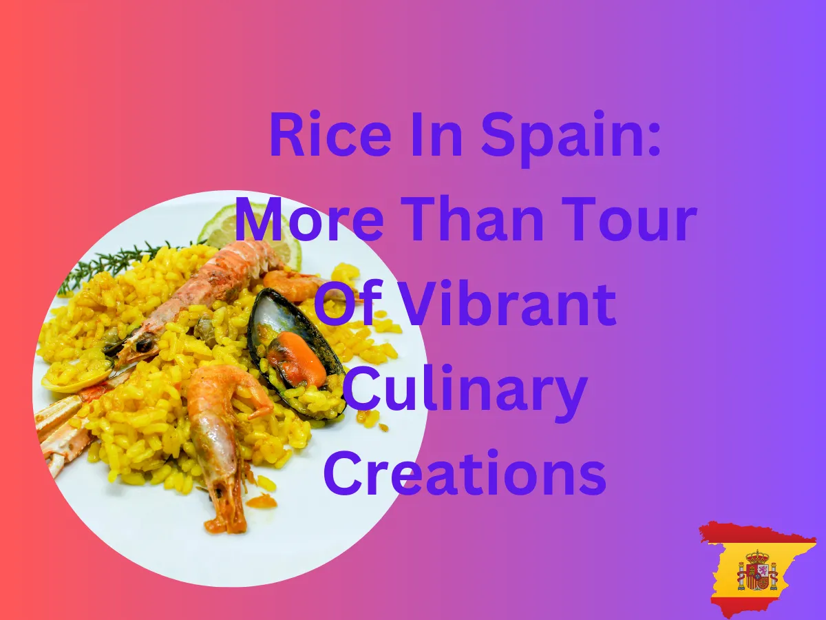 rice in spain, Spanish cuisine, rice-based meals