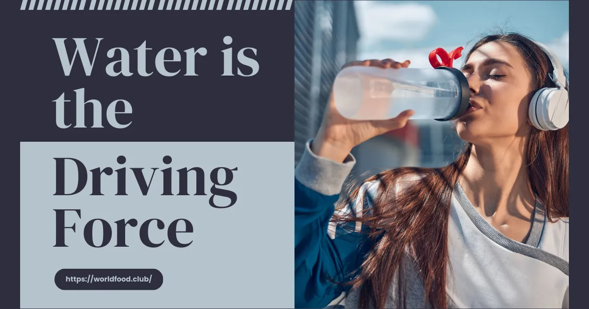 Hydration Tracker, Hydration tracking, Daily water intake