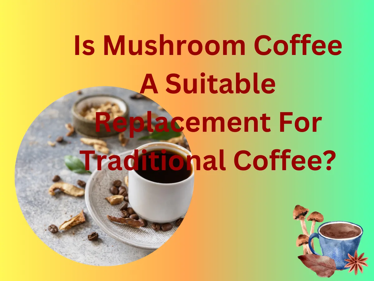 Mushroom Coffee: The New Trend In The World
