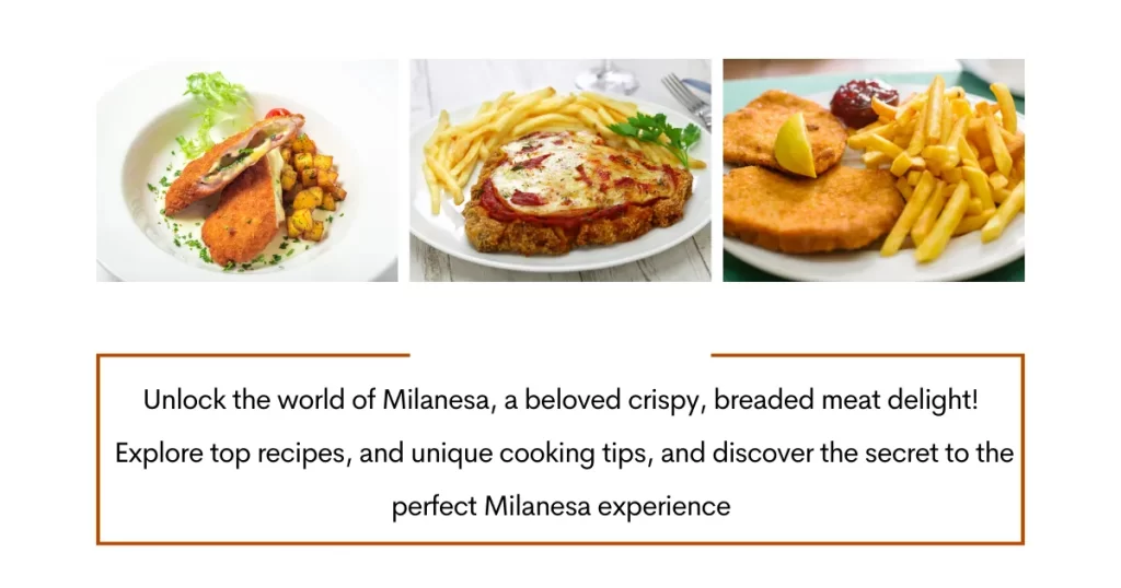 Milanesa, Milanesa Recipes, Cooking Milanesa