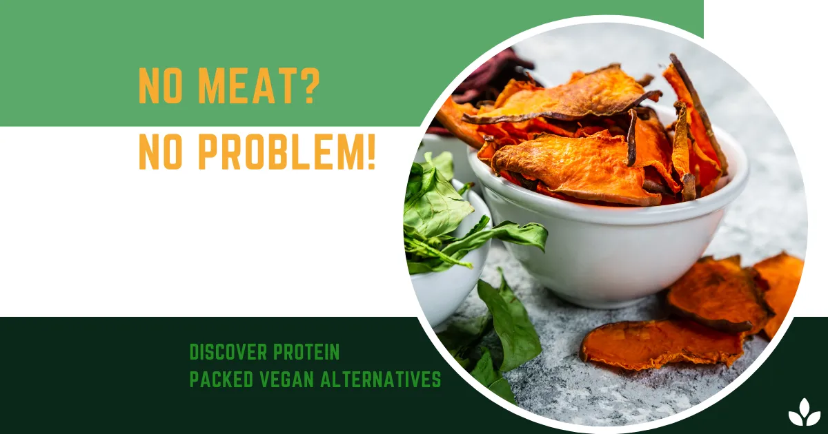 vegan meals