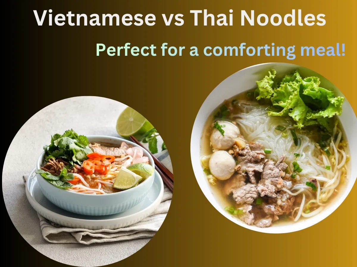 Vietnamese vs Thai Noodle Soup
