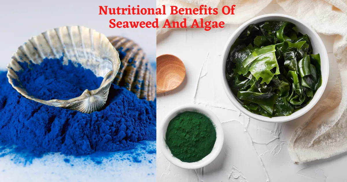 blue foods