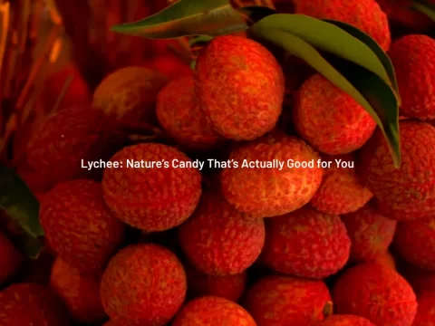 Exotic Litchi Tree Fruit