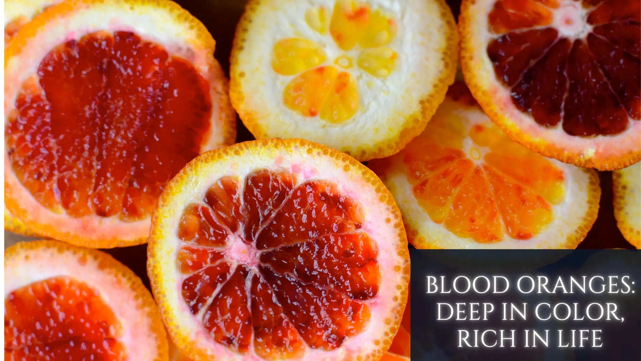 blood oranges