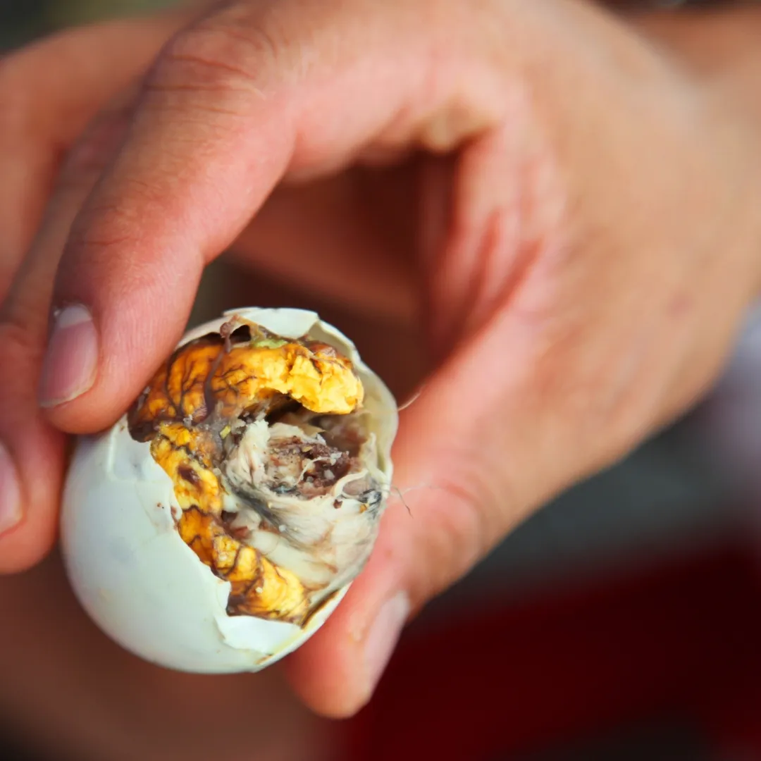 Balut in shells being sold