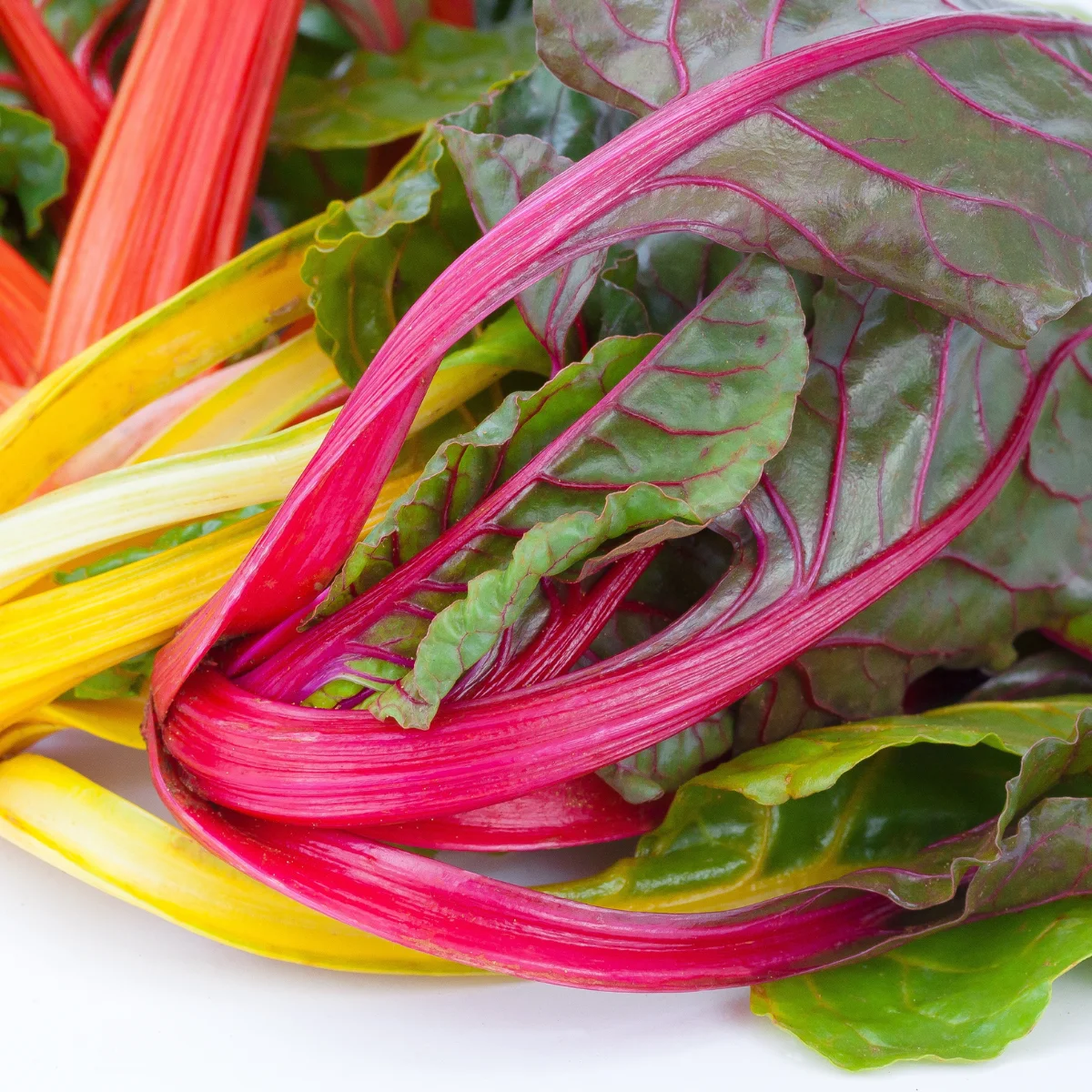 vitamina E