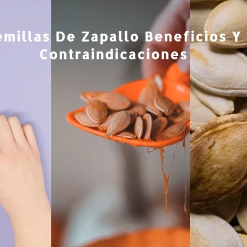Semillas De Zapallo Beneficios Y Contraindicaciones