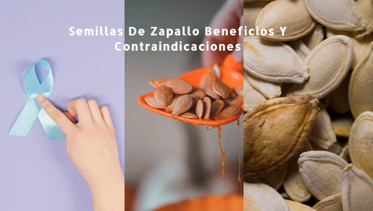 Semillas De Zapallo Beneficios Y Contraindicaciones