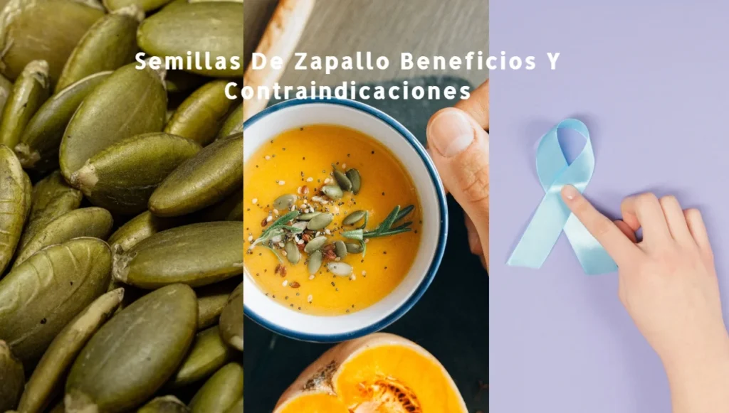 Semillas De Zapallo Beneficios Y Contraindicaciones, semillas de zapallo